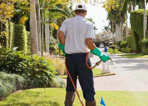 About Gerald MO Pest Control
